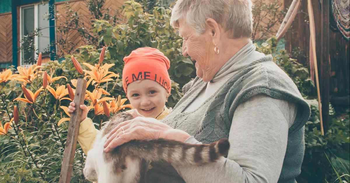 School bus driver fired for letting a student rescue an injured kitten. She'd held the job for 11 years