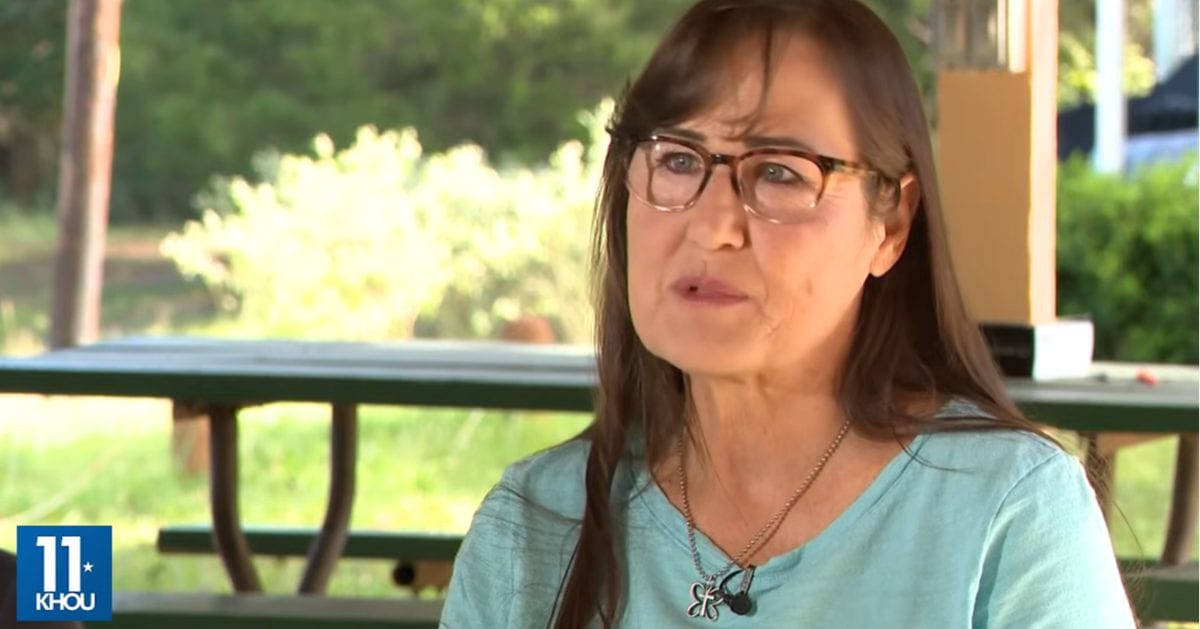 HOA sued an Army vet over her 'therapeutic bees,' claiming they stung board members. She said they’re 'not the problem' and sued back for $250,000