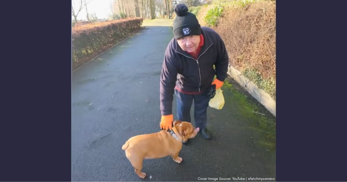 After losing his daughter, this widowed dad adopted two bulldogs for a deeply personal reason