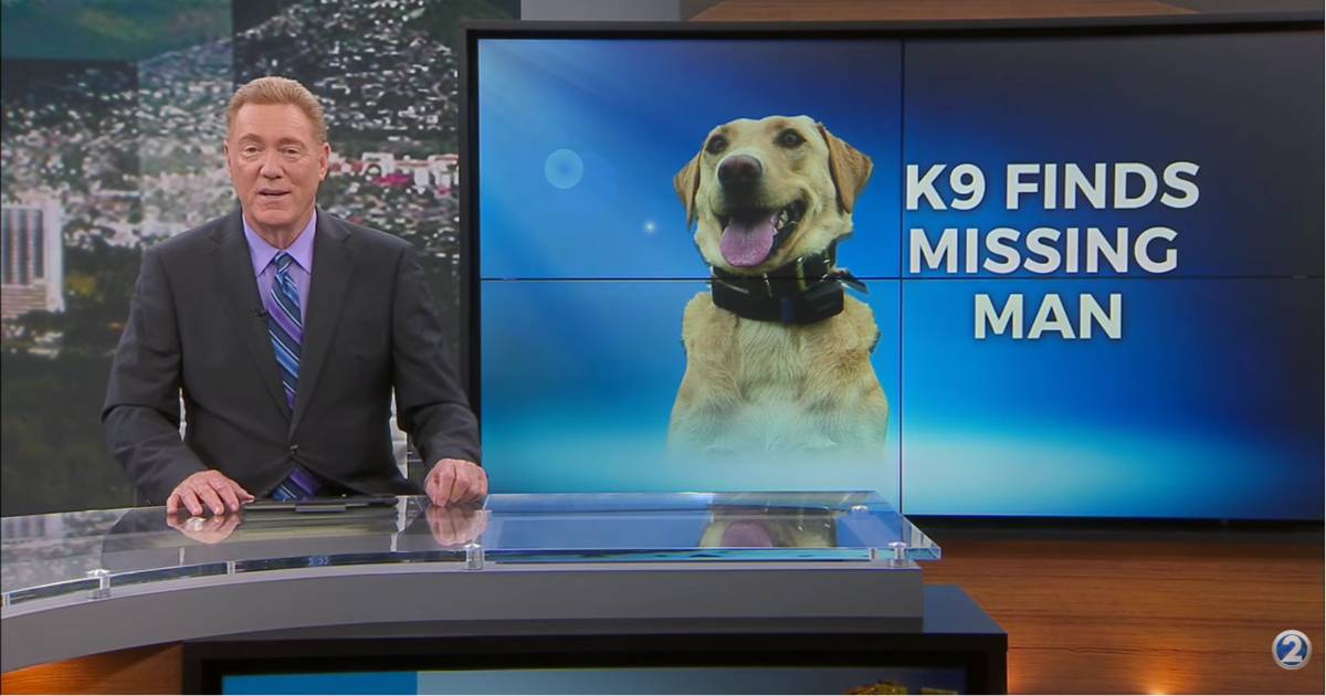 Police dog finds missing 70-year-old hiker near a volcano. He had only one request