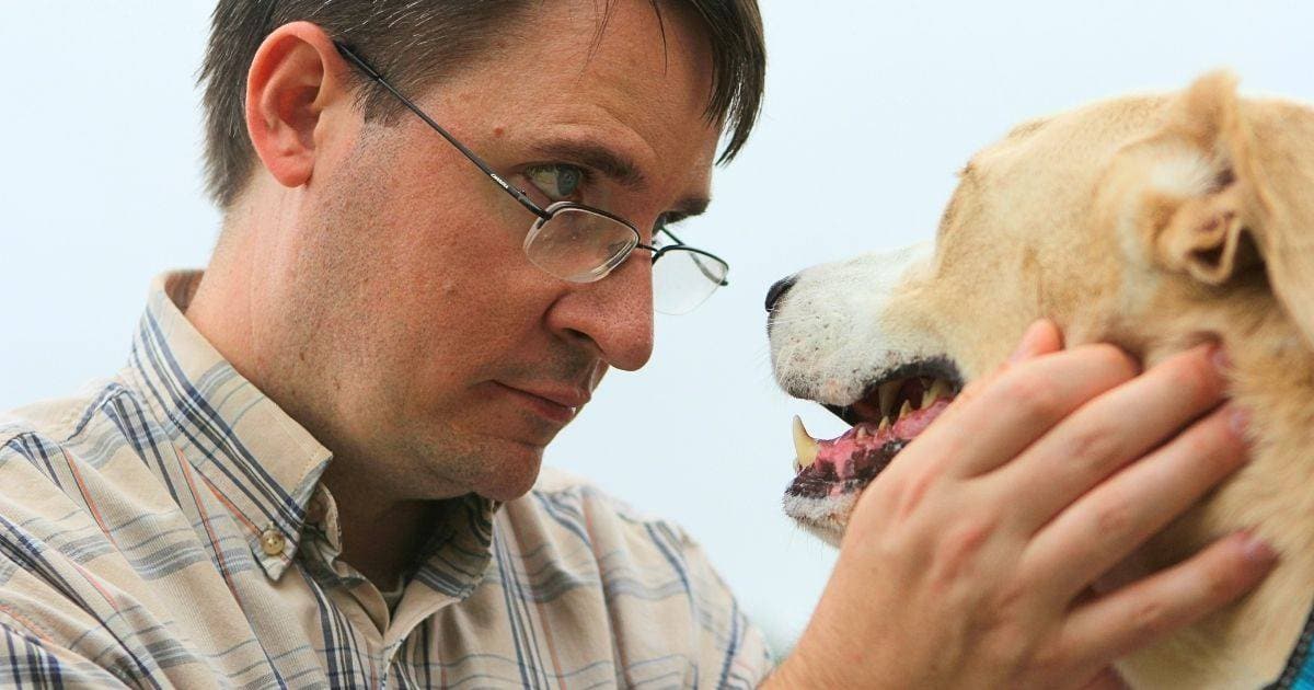 Dog sitter used a client’s dog in an ad, pocketed $9,000 and told no one. The judge’s first question turned his own story against him