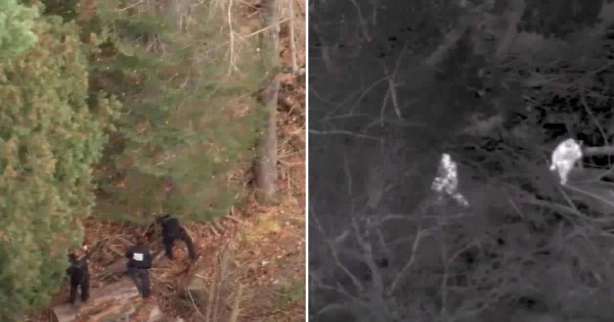 Drone footage showed Michigan police closing in on escaped inmate Casie Jo Helsel, who was hidden beneath wood and debris, before officers pulled him out (Crawford County Sheriff's Office/Facebook)