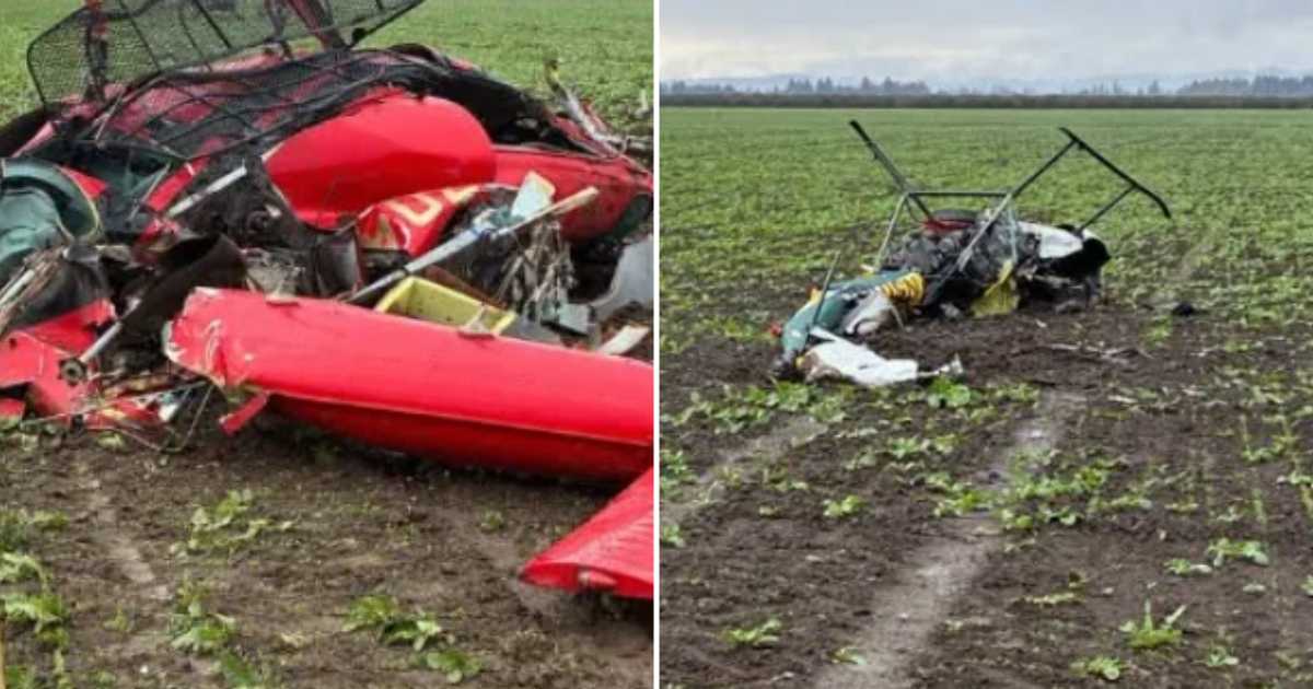 Witnesses described hearing a loud boom before seeing two helicopters collide mid-air and plunge into an Oregon farm field (Yamhill County Sheriff's Office)