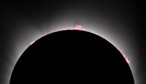 A view of the fiery prominences seen during the Total Solar Eclipse of August 21, 2017