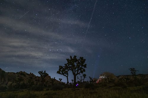 Perseid Meteor Shower were captured over Joshua Tree National Park on August 12, 2026 in Joshua Tree, California. (Image Source: Getty/Apu Gomes)