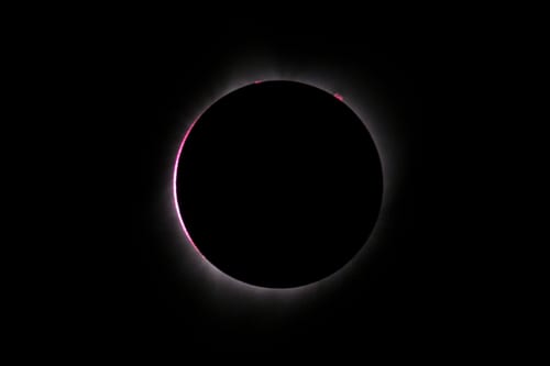 <<enter caption here>> on August 21, 2017 in Charleston, South Carolina.