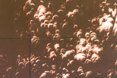 2017 Light crescents and tree leaf shadows