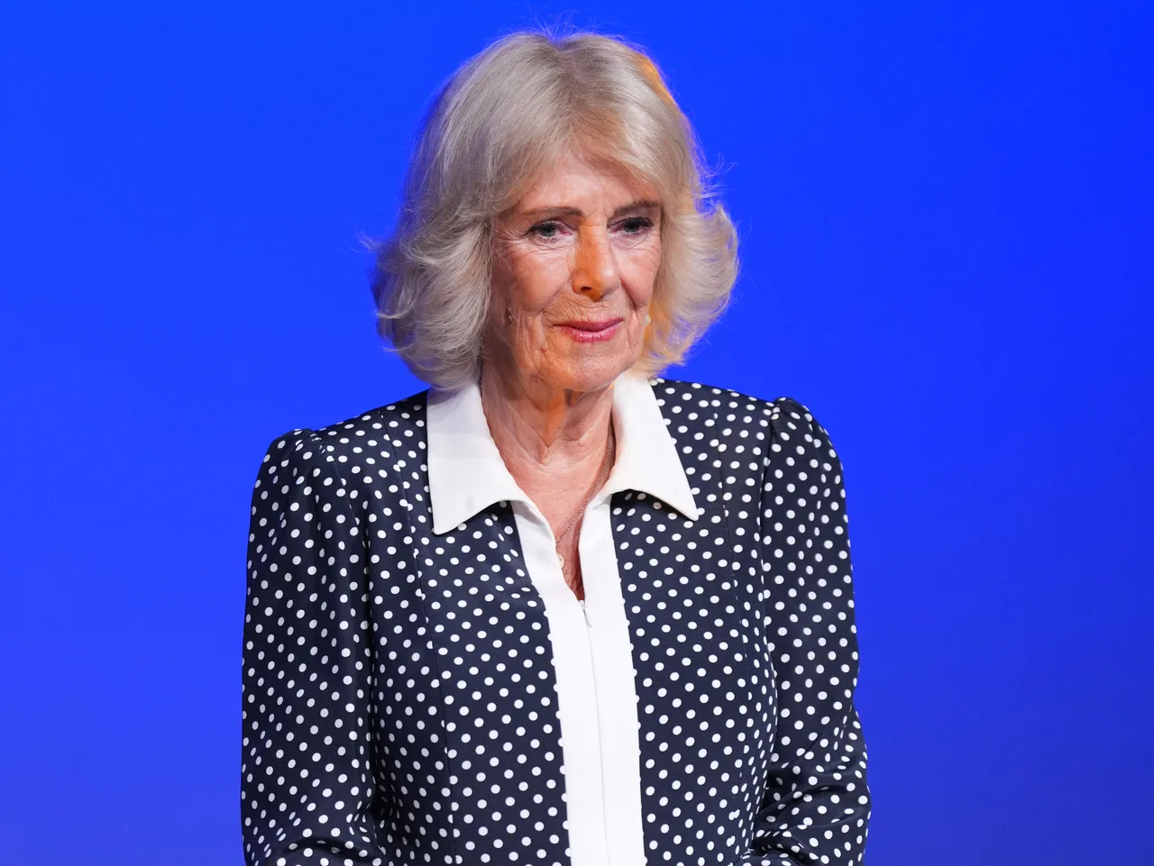 Camilla Steps Up