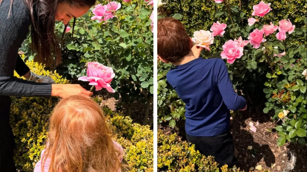 Mama's Little Helpers