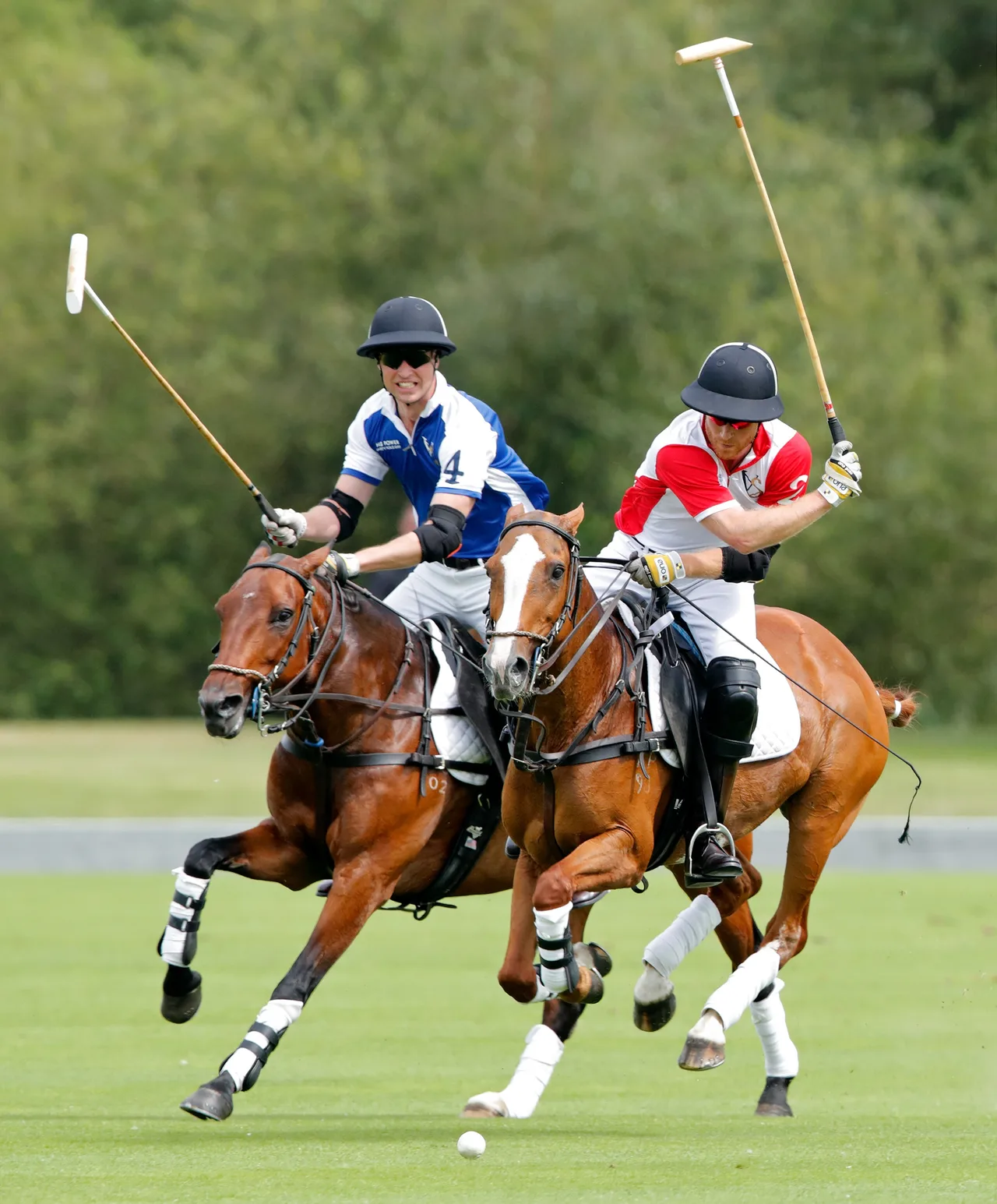 Polo Fever!