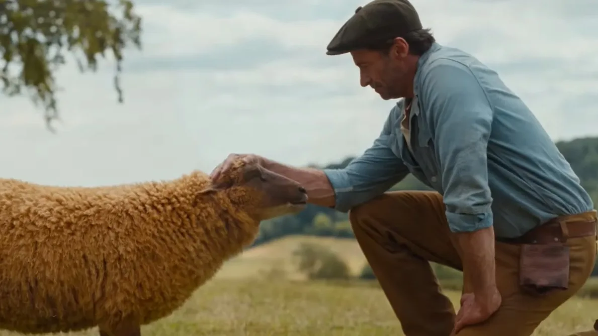 Sheep Detectives