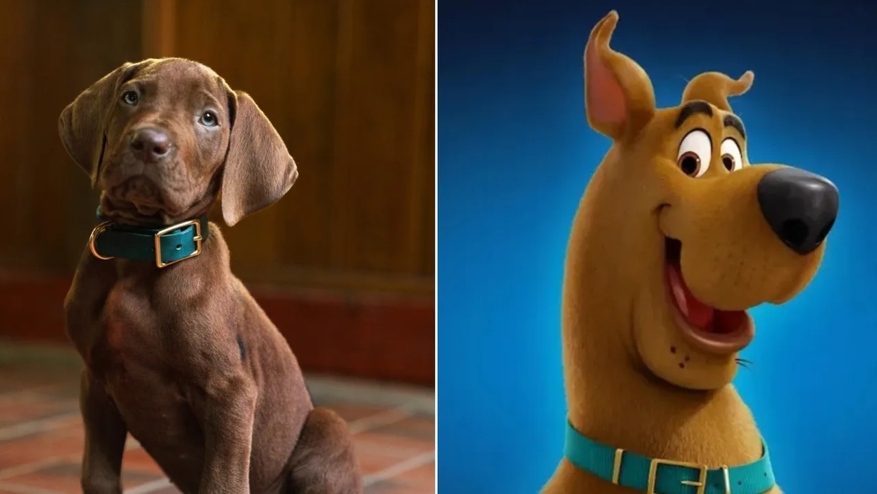 Real Pup as Scooby Doo