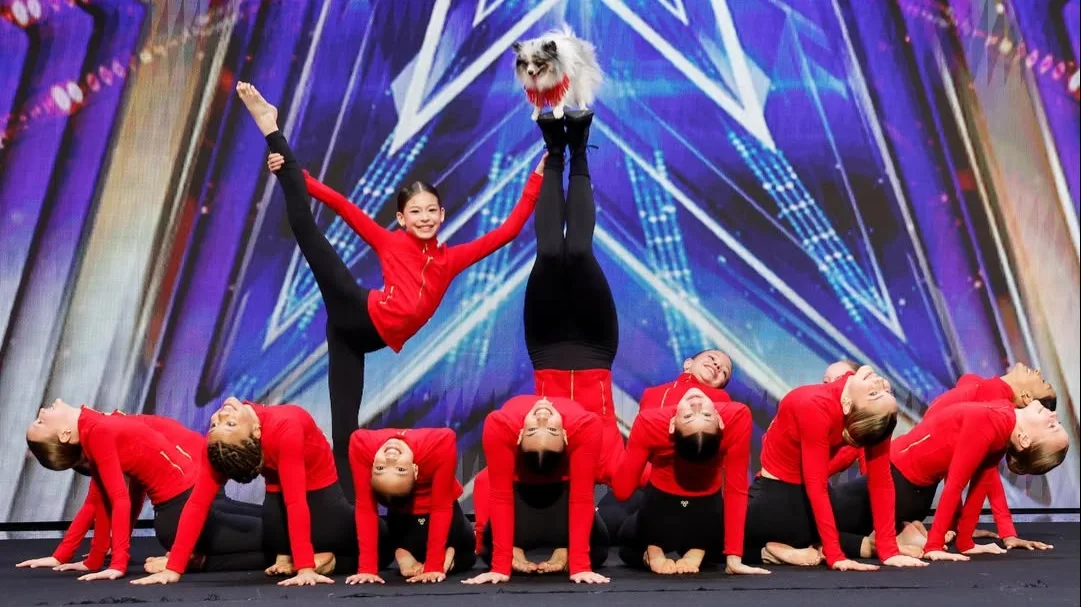 Acro Canine Crew