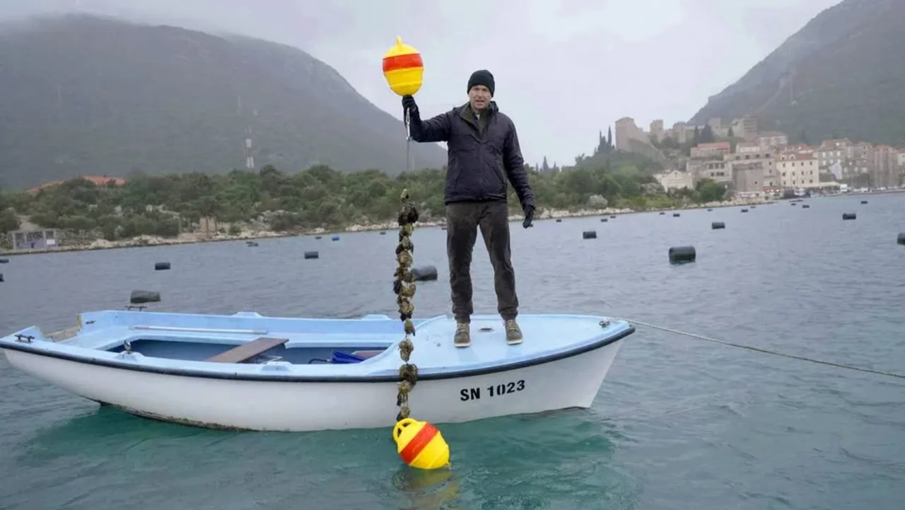 The Amazing Race