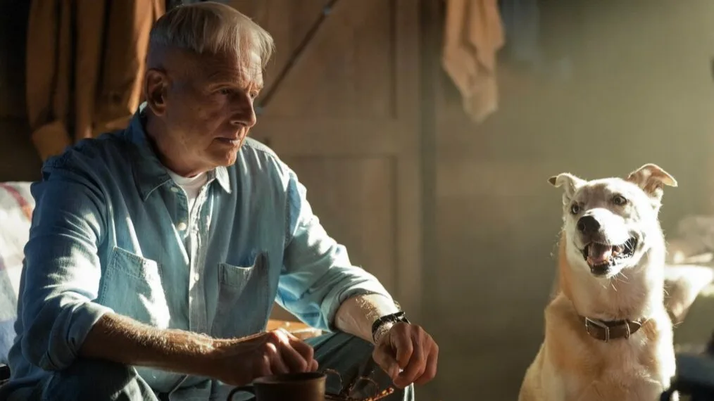 Mark Harmon
