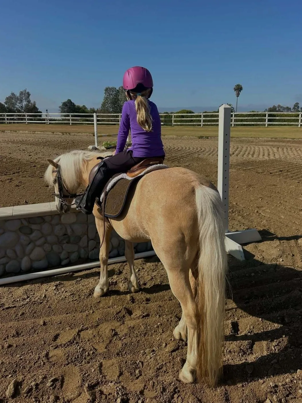 Katherine passes her love of horses onto her children