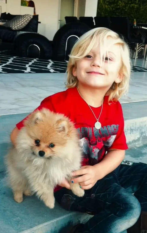 Gwen Stefani looks back on heartwarming memories of son Zuma