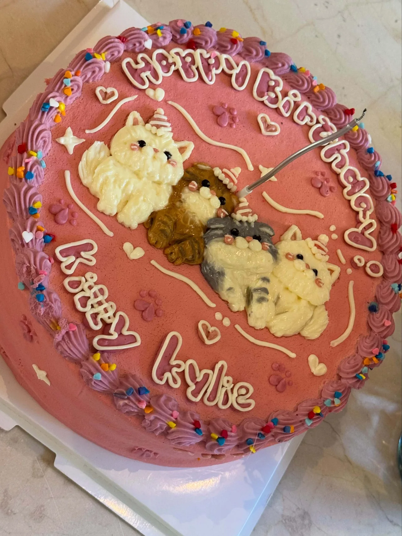 Kylie Jenner shows off cute baby pink 'Kitty Kylie' cake