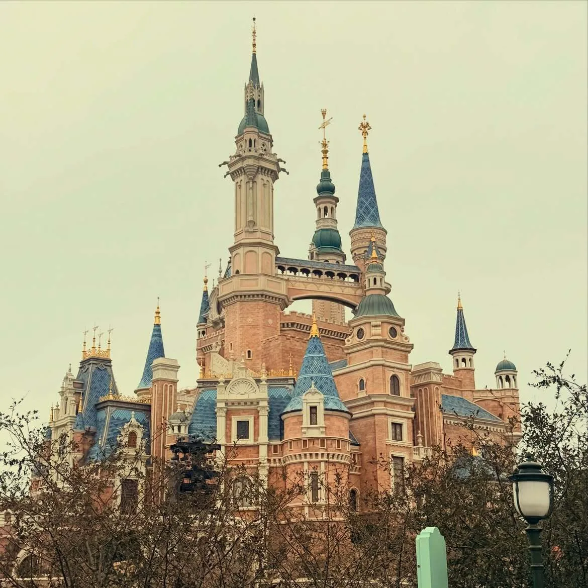 Khloe enjoys with children at Disneyland