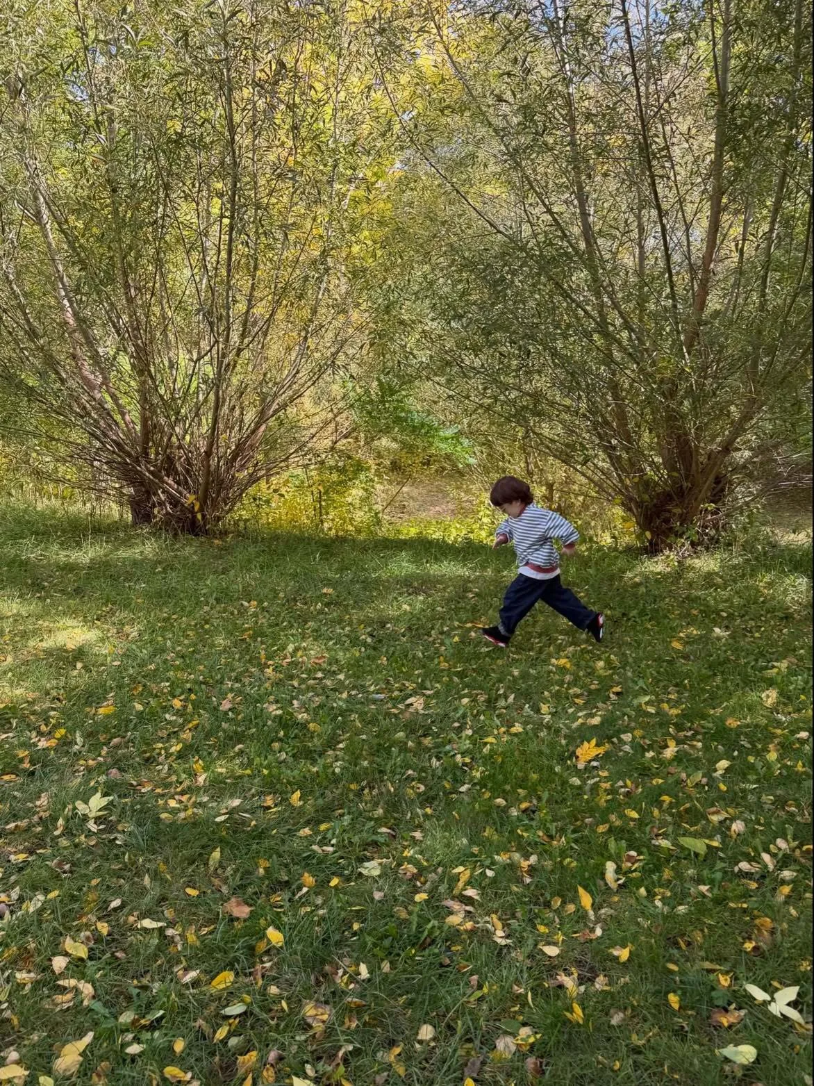 Luai takes on autumn, one adorable step at a time