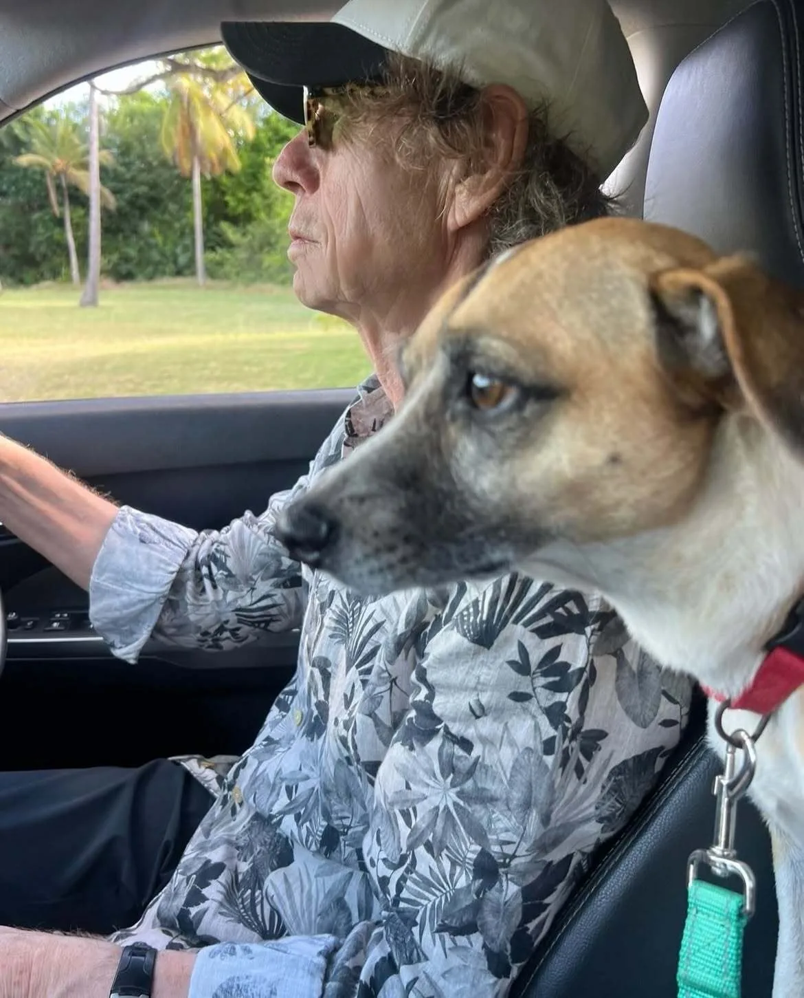 Mick Jagger is seen enjoying vacation with his family dog