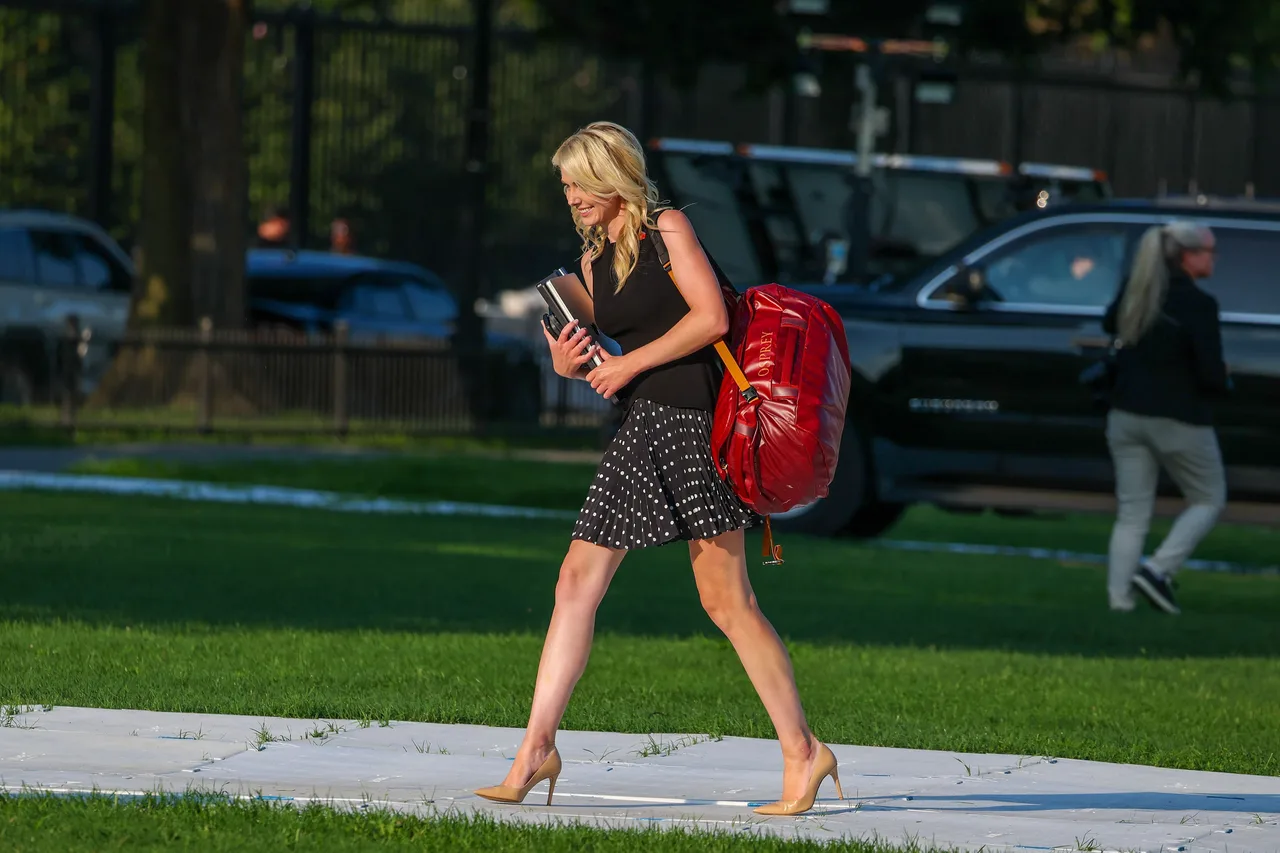 The bag Harp carries around Trump spawned bizarre internet rumor