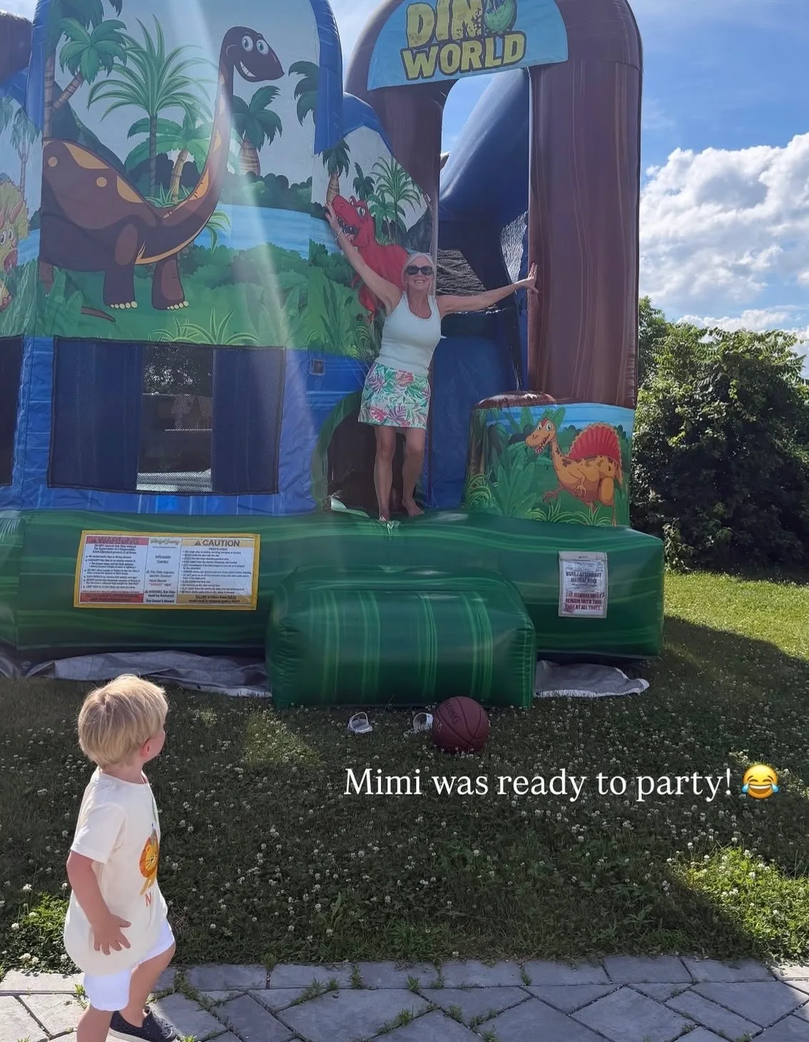 Niko's dinosaur-themed party