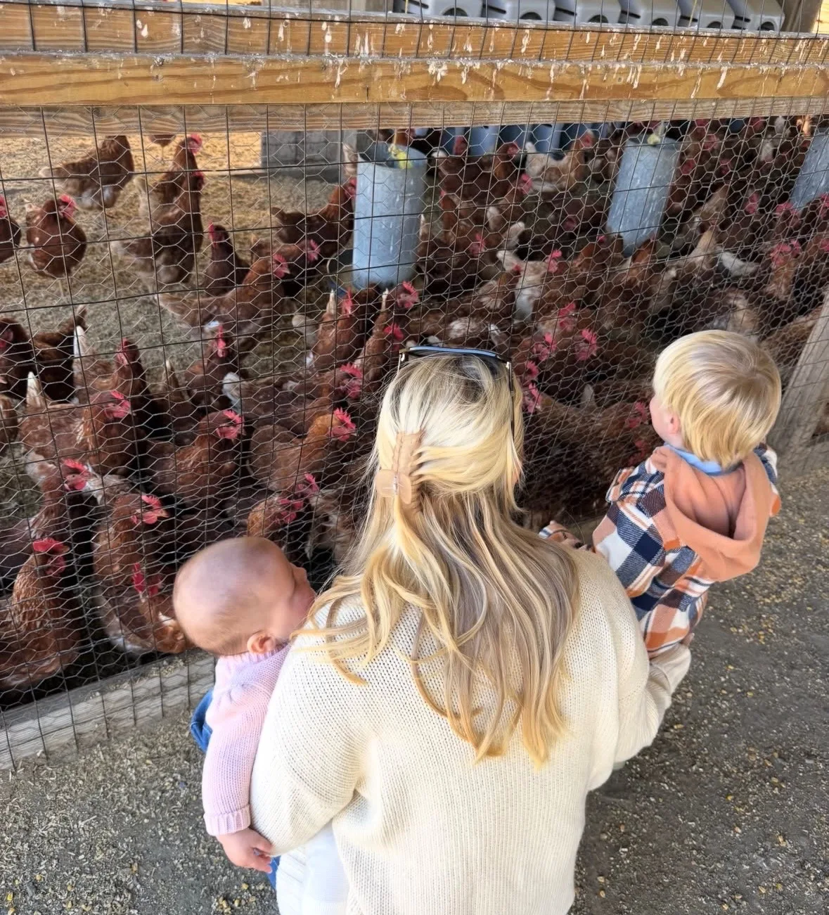 Niko meets the chickens as baby Vivi tags along