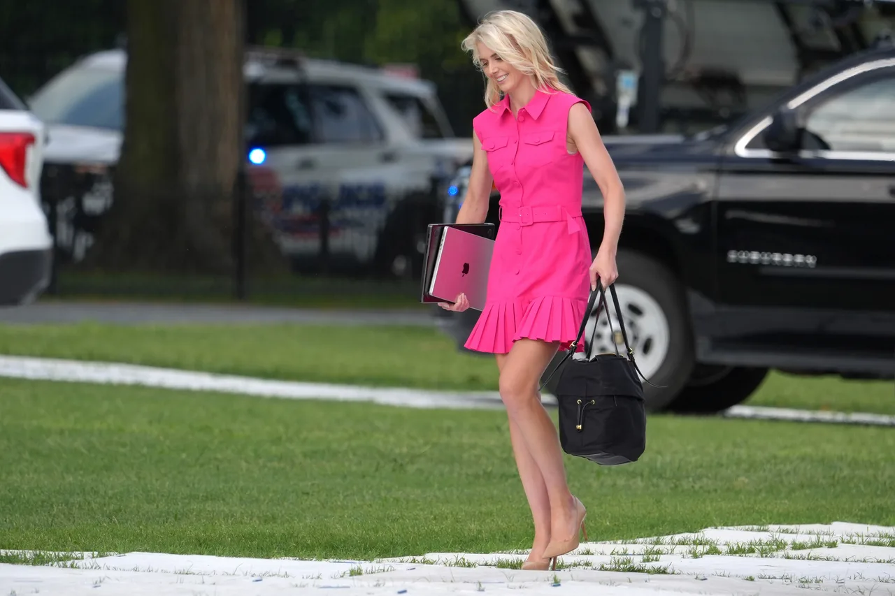 Harp trades emerald elegance for playful hot-pink mini