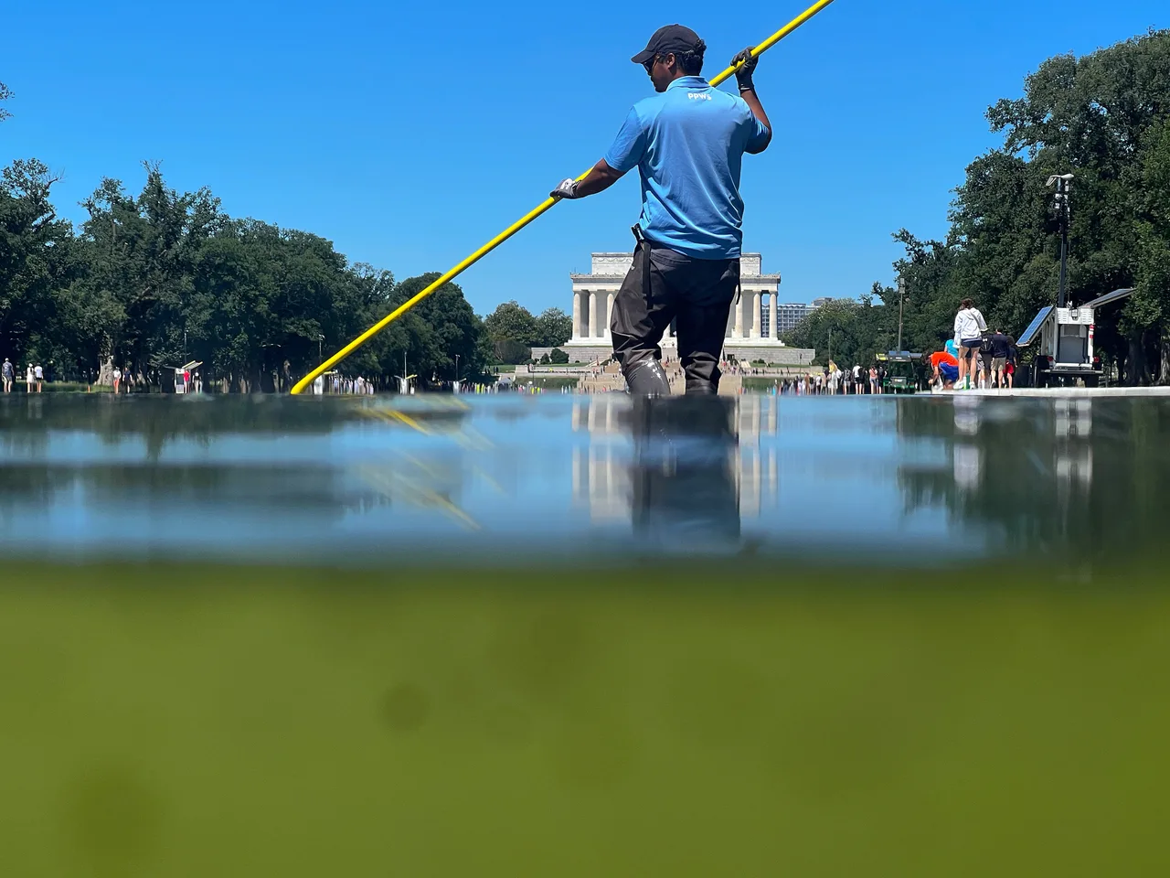The algae mystery after Trump's UFC party