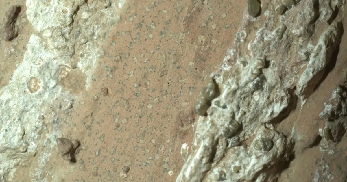 NASA rover discovers potential biosignatures in ancient Mars rock
