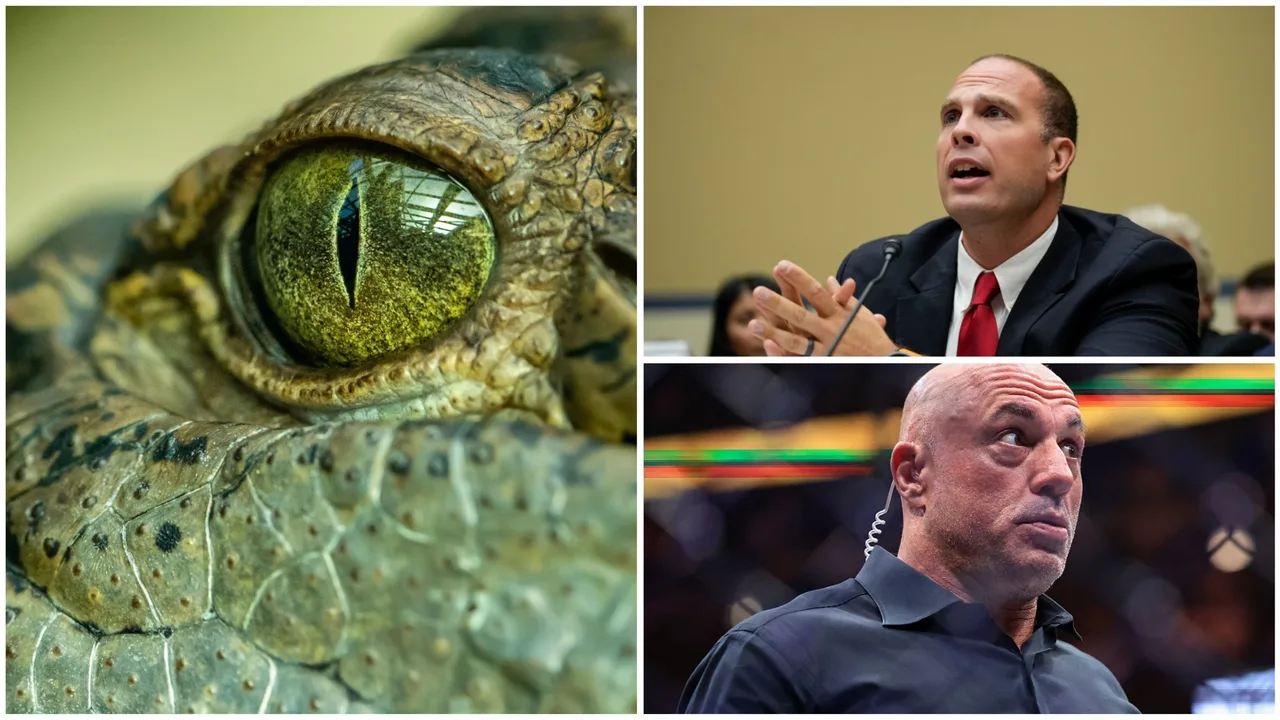 Aliens that look like 'Greek gods' and 'gorilla-reptiles': UFO whistleblower's wild claims on Joe Rogan's podcast