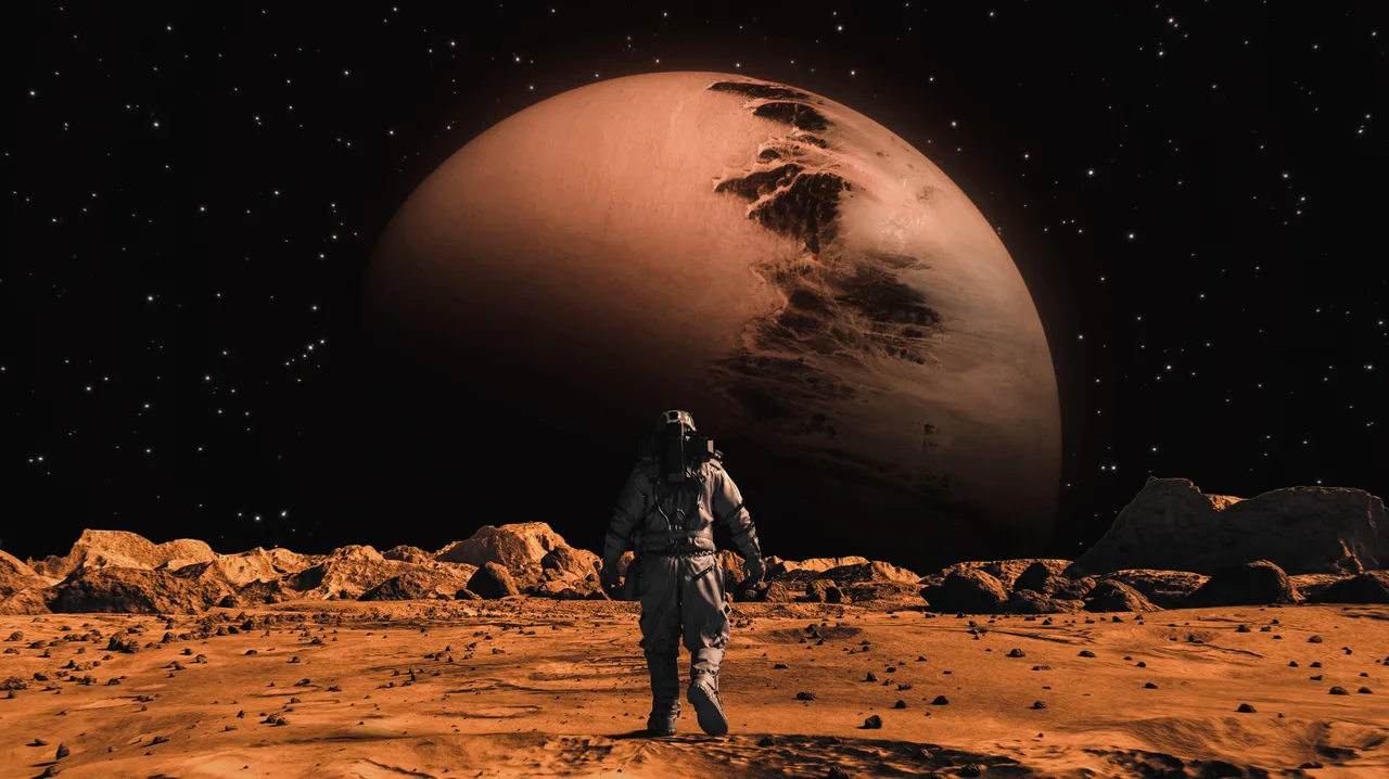 In fact, a Mars rock once had the whole world talking