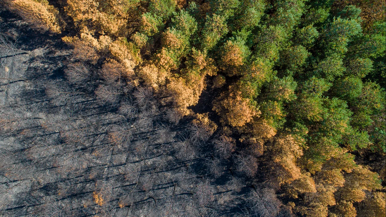 Researchers tested 29 climate models to stress-test their estimate