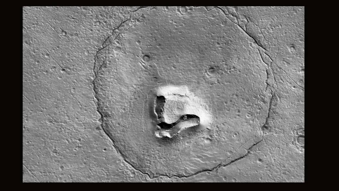 A bear's face turns up on the Martian surface