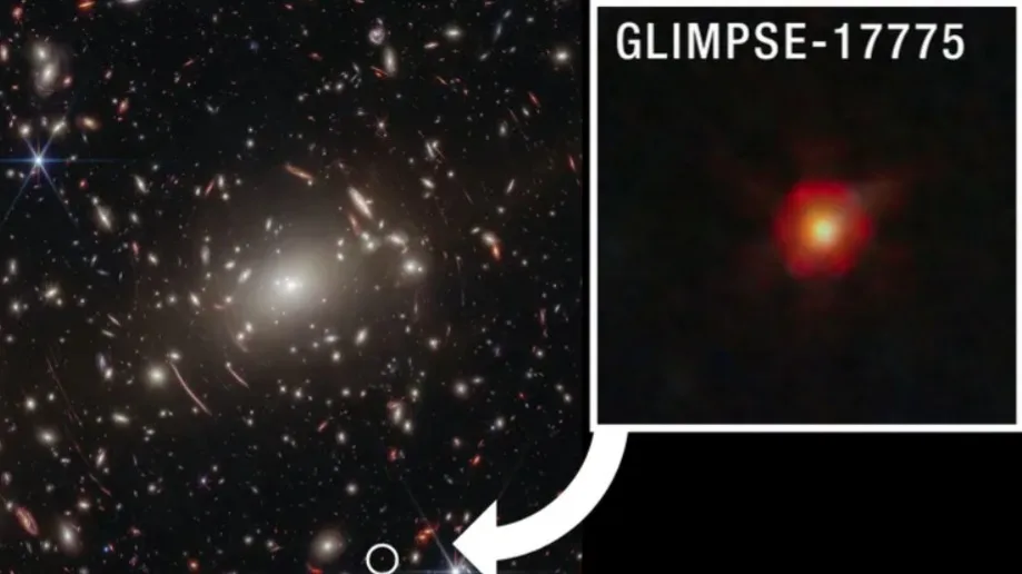 The mystery of the tiny red dots