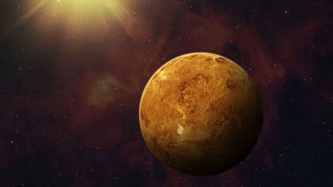 Venus at peak illumination