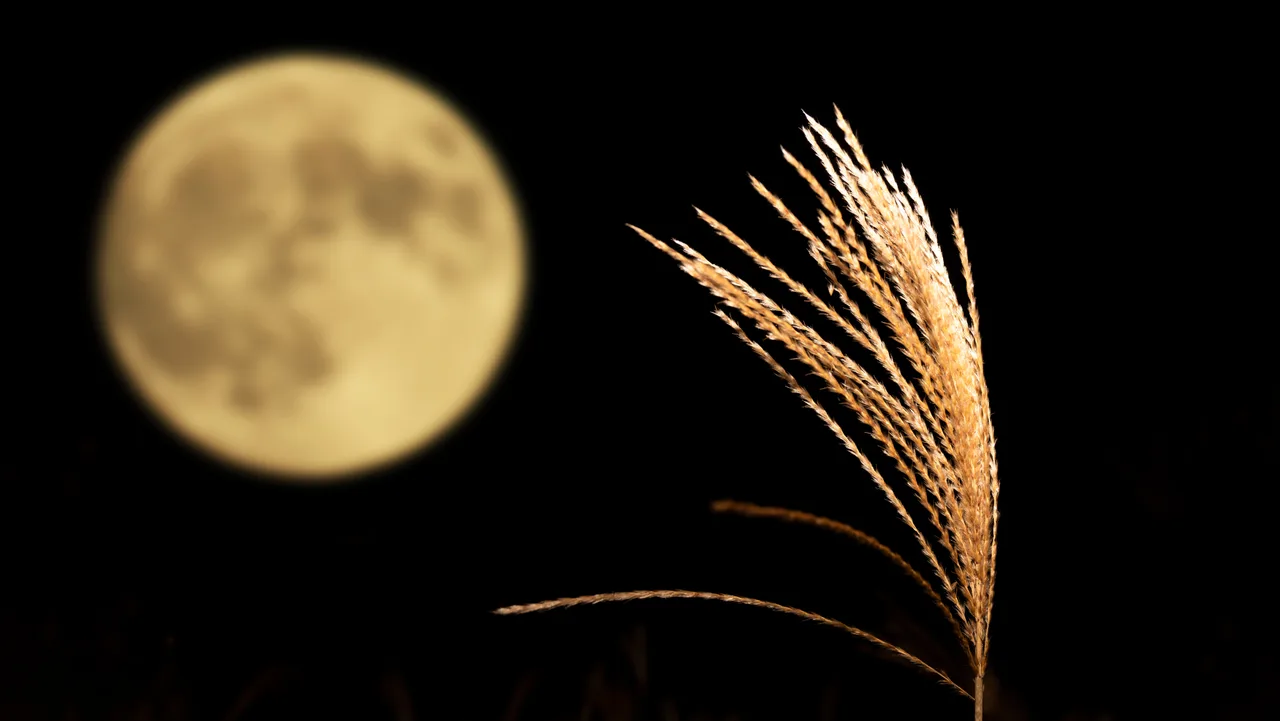 Full Harvest Moon