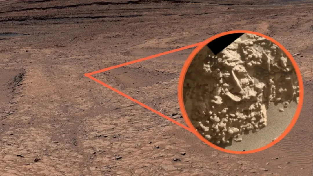 Giant 'spiderwebs' spotted with tiny egg-like structures