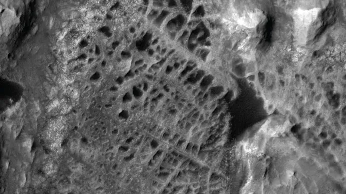 So what's actually behind these giant ‘spiderwebs’?