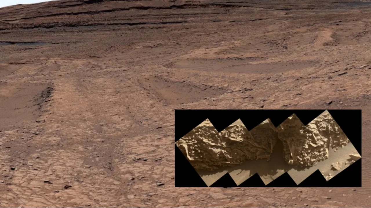 Strange 'spiderweb' formations spotted on Mars: NASA explains what's really going on