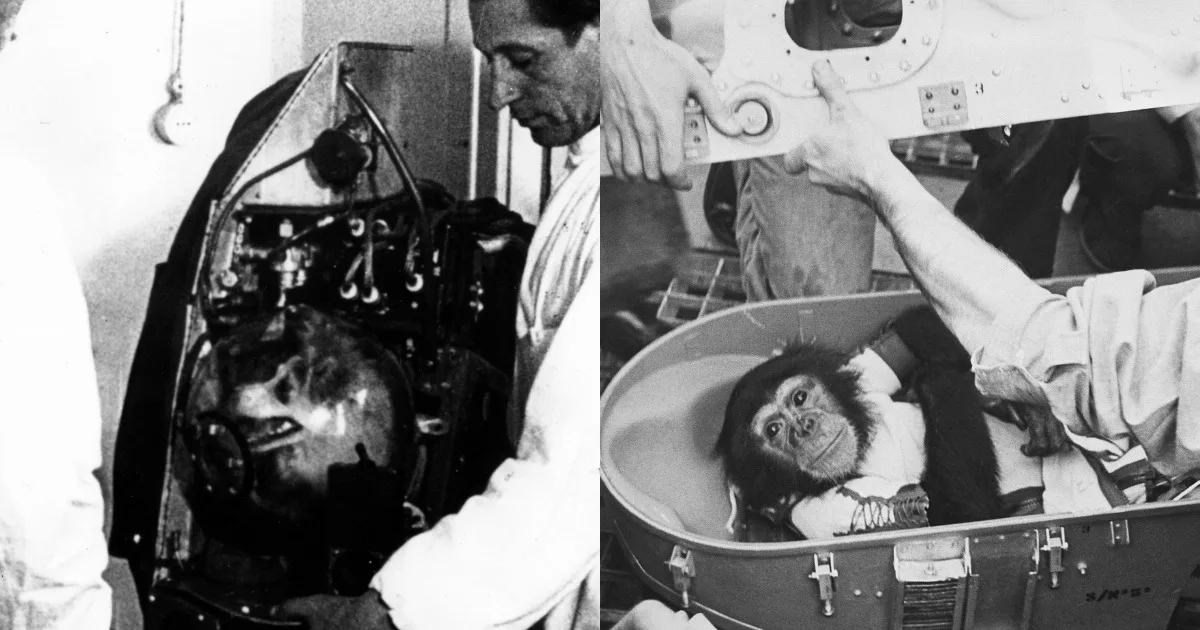 Animals were the first to space, astronauts followed later