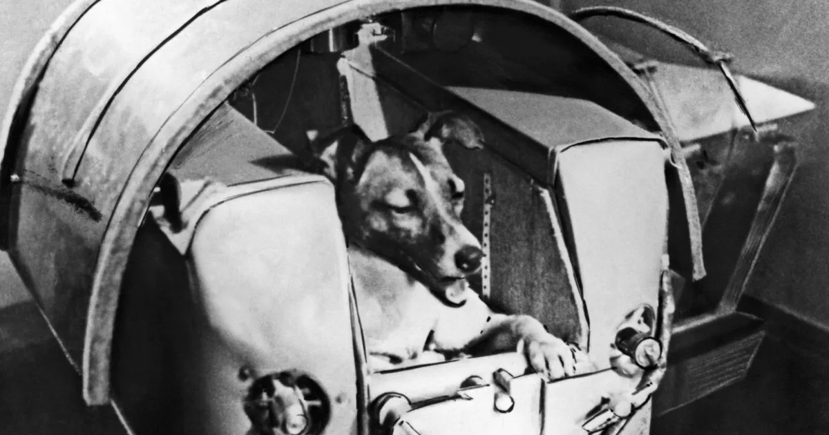 Laika