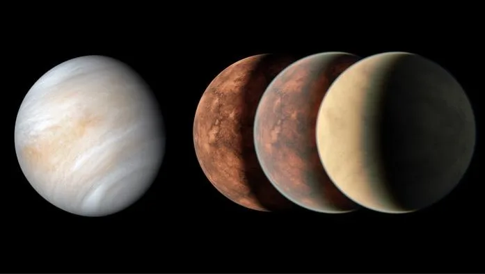 The larger implications of the discovery