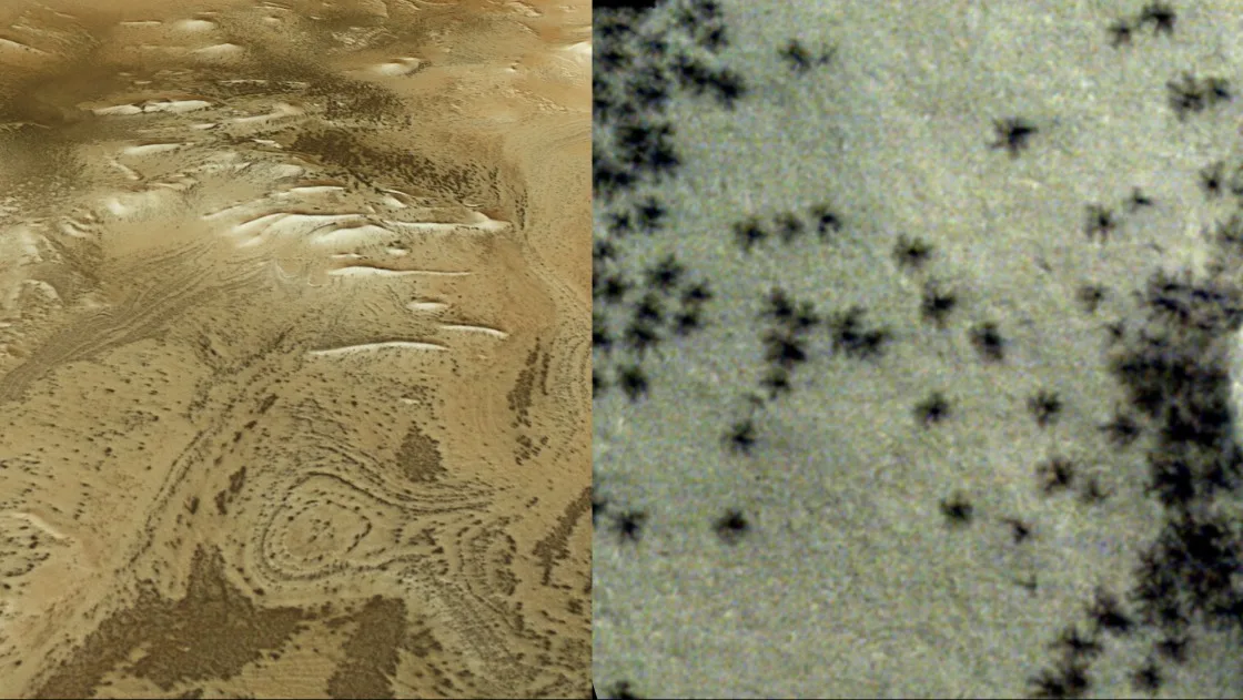 Thousands of dark "spiders"