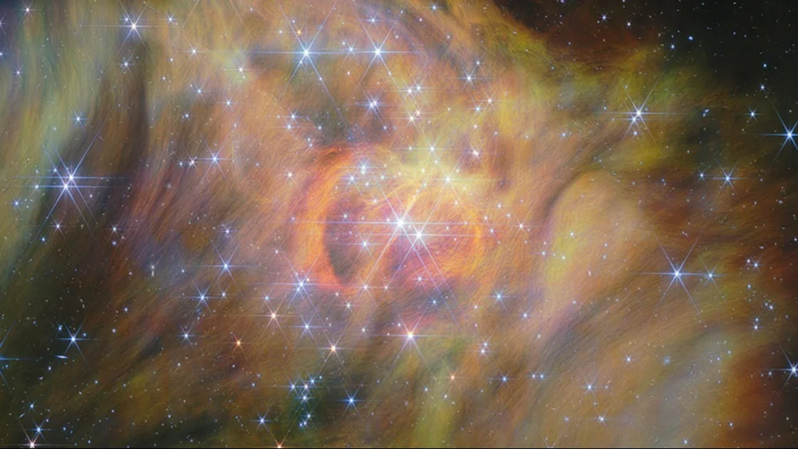 Inside one of JWST’s biggest images