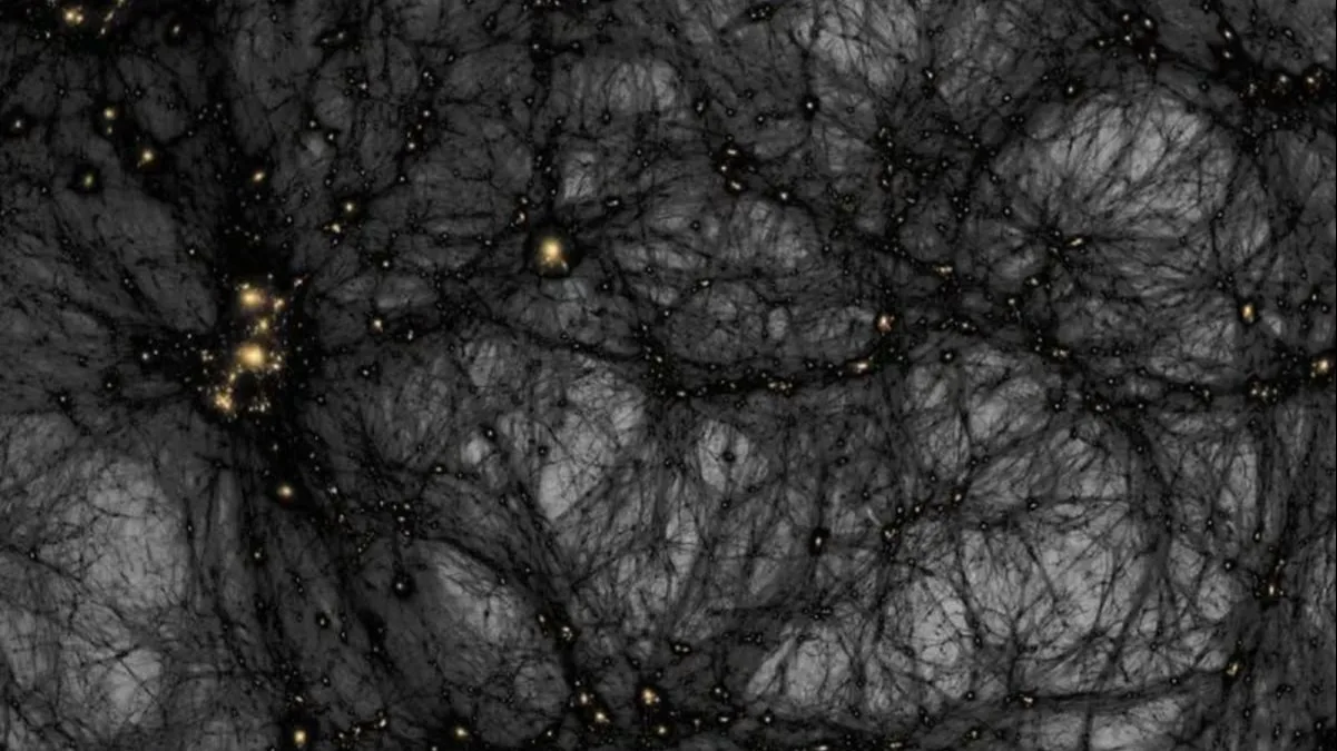 Meet the dark photon