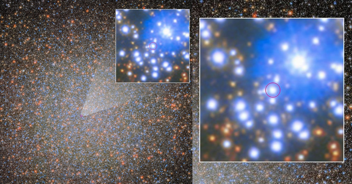 Image of Omega Centauri’s first stellar-mass black hole. (Collage made on Canva)