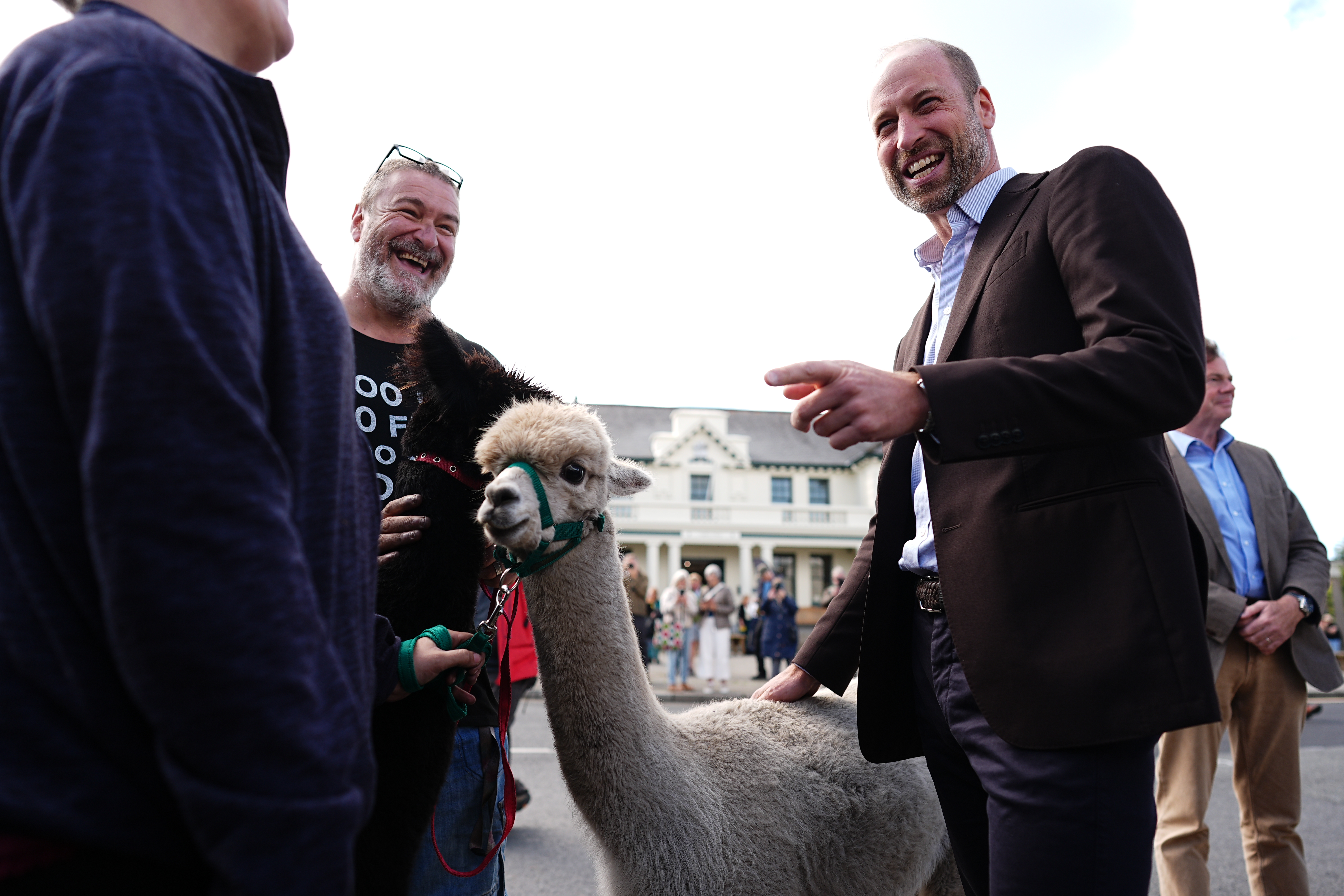 PRINCETOWN, ENGLAND - SEPTEMBER 15: Prince William, Prince of Wales, meets an alpaca during a visit to Princetown in Dartmoor to launch the new Princetown Community Fund, on September 15, 2026 in Princetown near Plymouth, England. The new fund will make at least £250,000 available to support locally led projects delivering social, economic and environmental benefit to the community of Princetown. (Photo by Aaron Chown - WPA Pool/Getty Images)