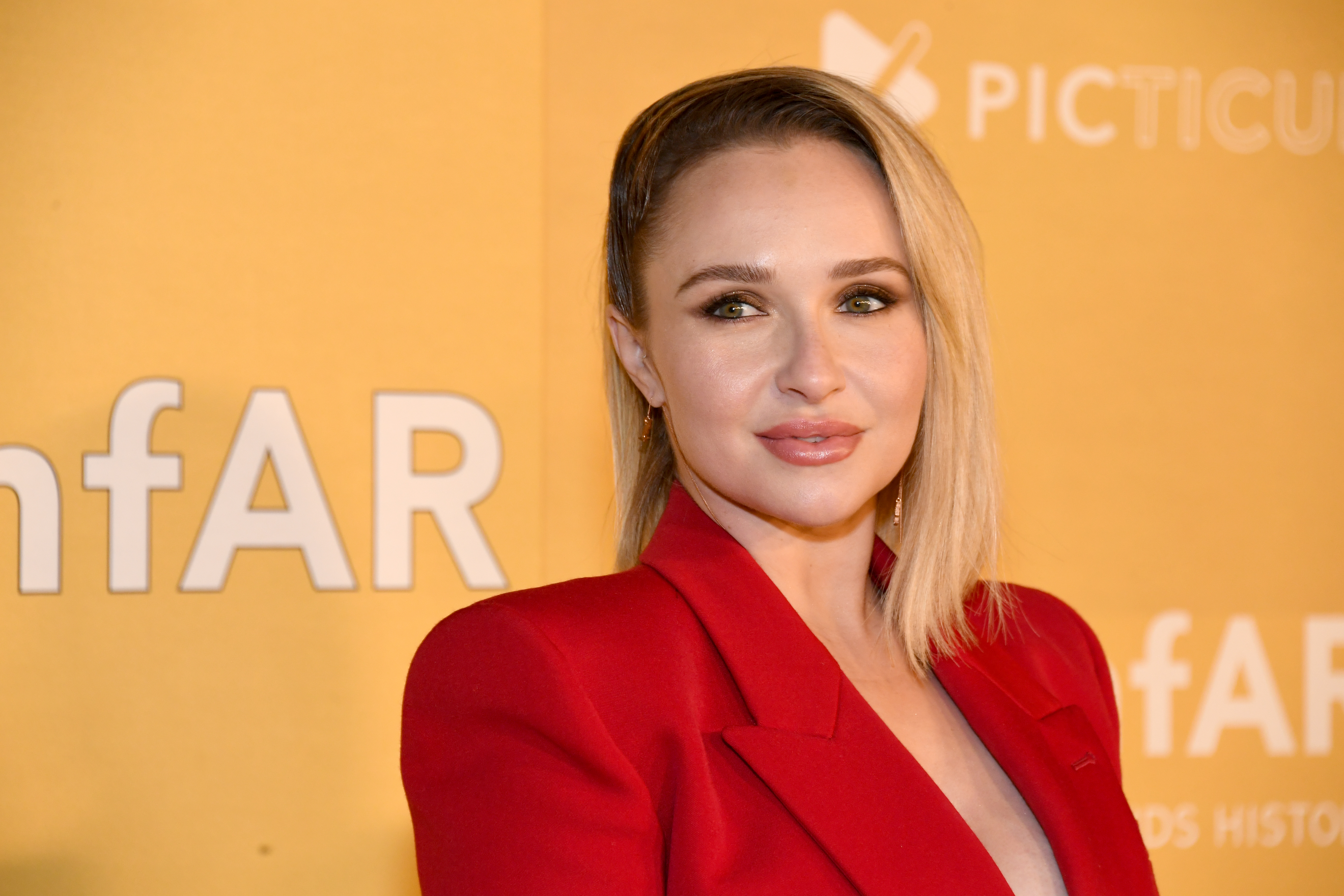 WEST HOLLYWOOD, CALIFORNIA - NOVEMBER 03: Hayden Panettiere attends amfAR Gala Los Angeles 2022 at Pacific Design Center on November 03, 2022 in West Hollywood, California. (Photo by Jon Kopaloff/Getty Images)